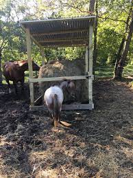 Horse slow feeder hay feeder for horses horse stalls horse barns diy hay feeder goat feeder horse barn designs horse crafts tallit. Diy Hay Feeder Three Chestnuts