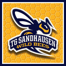 Die party kneipe bierteufel begrüßt sie mit einer gut überschaubaren auswahl an getränken und guter musik, die sie in die richtige partystimmung versetzt. Tg Sandhausen Wild Bees Home Facebook