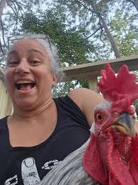 BYC (BackYardChickens)