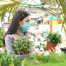 Détails du magasin jardiland à toulouse. Jardinerie Deauville Animalerie Et Deco Calvados 14 Truffaut