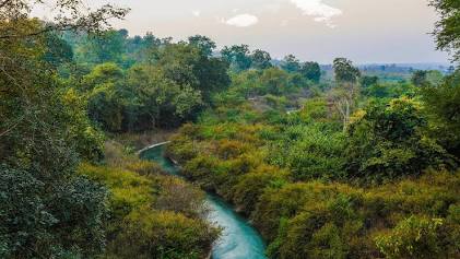 Pristine forest ring around Pakhal, AI generated