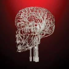 We did not find results for: Fragile Anatomy A California Craft Company Makes Stunningly Accurate Glass Replicas Of The Human Vascular Syst Glass Heart Glass Blowing Artistic Installation
