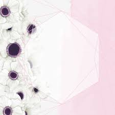 Card Floral Invite Illustration Watercolor Vector Wedding Design Invitation Frame White Set Decorat In 2020 Flower Drawing White Anemone Flower White Flower Background
