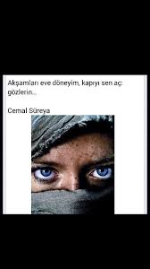 Aksamlari Eve Doneyim Kapiyi Sen Ac Gozlerin Cemal Sureya Gozler Kapilar