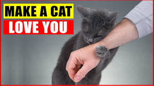 A mama cat might emit them when she's nursing to soothe her kittens. 12 Ways To Tell Your Cat You Love Them In A Language They Understand Youtube