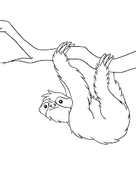 450x416 cute sloth coloring pages kids coloring coloring book children. Sloth Coloring Page 1001coloring Com