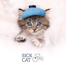 It's just in time for a fun weekend with (hopefully) great and warm weather in the late evening. Sick Cat Clinical Trial Home Facebook