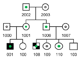 genetics family pedigrees suggest autism gene candidates