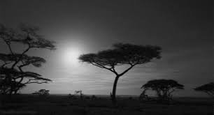 Landscape Africa Black And White Landscape Landscape Nature
