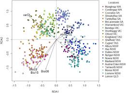 Signatures Of Selection In A Recent Invasion Reveals Adaptive Divergence In A Highly Vagile Invasive Species Biorxiv