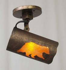 Copper Canyon Lodge And Cabin Tr11 Track Lighting