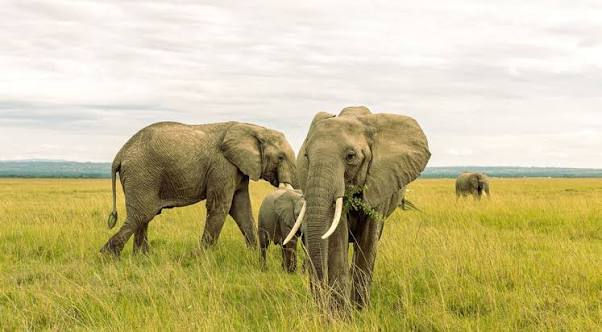 Tanzania