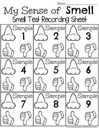 Sense Of Smell Worksheets Five Senses Preschool Senses Preschool Senses