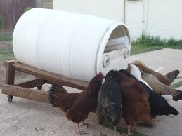 Black Soldier Fly Composter Automatic Chicken Feeder This Is Exciting Composting Black Soldier Fl Automatic Chicken Feeder Black Soldier Fly Chicken Feeder