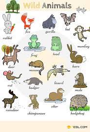 Animal Names Types Of Animals List Of Animals Animal Pictures 7esl English Vocabulary Animals Name In English List Of Animals