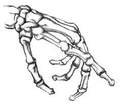 Skeleton Hand Google Search Skeleton Hands Drawing How To Draw Hands Skeleton Drawings