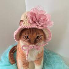Hats For Cats Cat Hat Cat Costumes Cat Photo Prop Cat Etsy In 2021 Pet Costumes Cat Pet Costumes Hats For Cats