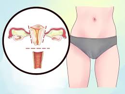Now she has the clear watery discharge ever since. 4 Ways To Control Discharge After Pregnancy Wikihow