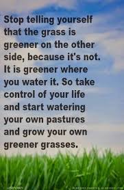The Grass Is Always Greener On The Other Side Of The Fence Story Heartfelt Quotes Stop Telling Yourself That The Grass Is Greener On The Other Side Because It S Not Heartfelt Quotes Green Quotes Told You So