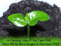 We have two programmes green <name of place> movement, can be slogan for plantation programmes. Slogans For Saving Trees Page 2