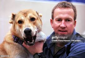 311 Penny The Dog Stock Photos, High-Res Pictures, and Images