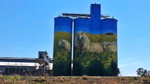 Merriwa Silos New South Wales Nature Pictures