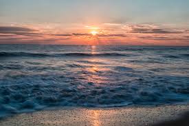 ocean city condo rentals coconut malorie