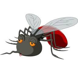 Some cause damage while others render people sleepless nights. Pest Control Near Me Manage Pests Through Pest Control Services