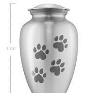 Reminded Urne funéraire pour chien et chat - Urne funéraire en forme de  patte - Taille M jusqu'à 31,8 kg - Argenté : Amazon.ca: Animalerie