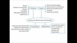 Consumir una dieta estrictamente vegetariana. Anemia Por Deficiencia De Vitamina B12 Youtube
