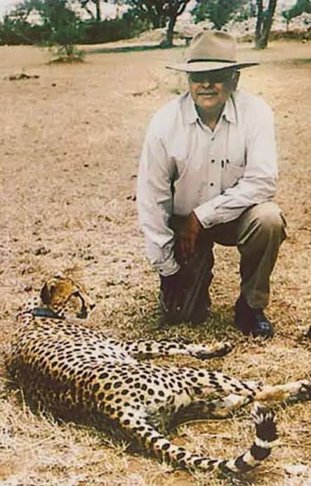 Translocation of Cheetah into India`s wild