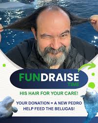 SEA LIFE Trust Beluga Whale Sanctuary