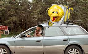 Best memes about 40 mega memes for your monday in 2019. Image 412910 Fired Big Bird Mitt Romney Hates Big Bird Know Your Meme