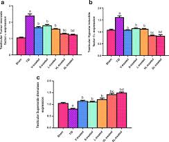 A lire aussi «bébés sans bras» : Protective Effect Of Dipeptidyl Peptidase 4 Inhibitors In Testicular Torsion Detorsion In Rats A Possible Role Of Hif 1a And Nitric Oxide Springerlink