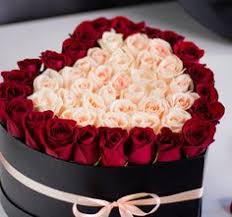 Did you google flower delivery near me in miami? 900 My Serenity Rose Garden Ideas In 2021 Rose Beautiful Roses Beautiful Flowers