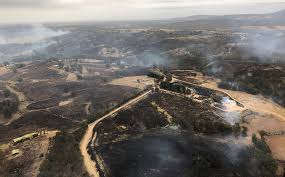(cnn) — los estados de australia combaten los incendios forestales cada año, pero poco se compara con la devastación generalizada de esta. Incendios En Australia Estas Son Las Causas Que Los Originan