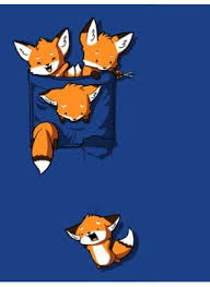 Fox Pocket Woot Shirt Adorable No Cute Animal Drawings Fox Art Cute Fox