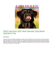 Pdf Lab Rules 2021 Wall Calendar Dog Breed Calendar Free In 2020 Dog Calendar Wall Calendar Dog Breeds
