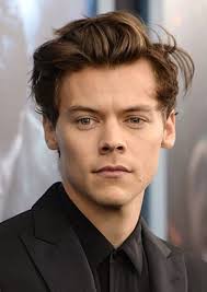 Fan Casting Harry Styles as DAVID DILBECK in Striptease Movie 2024