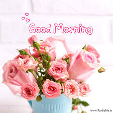 We did not find results for: 250 Good Morning Images Pictures Beautiful Morning Wishes 2021