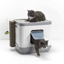 Moderna Cat Litter Box Bed And Scratcher Pole Cat Concepts 3 In 1 Shopping Buy Cat Litter Online At Mydea Cat Litter Cat Litter Box Cat Training Litter Box