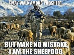 Just don't pull out your phone at all on the first date. Sheep Dog Police Quotes Quotesgram