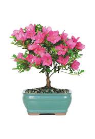 This is one of the 60th birthday gifts for mom that will really nail the theme of her big day. 65 Best Birthday Gifts For Mom Great Birthday Present Ideas For Mothers