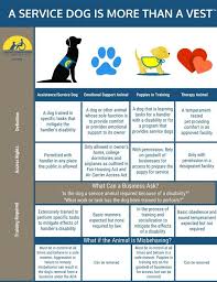 Emotional support dogs, or esds, do not need as much or as rigorous training as a service dog, but there are considerations and requirements for your dog to become an esd. Service Assistance Emotional Support And Therapy Dogs Dog Life In Cle Emotional Support Dog Emotional Support Dog Training Emotional Support