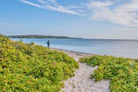 Zoek via de kaart of zoekbalk naar plaatsen die je wilt bezoeken. Road Trip Denemarken Zweden Route Tips En Accommodaties