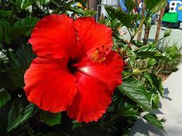 Found On Bing From Www Pinterest Com