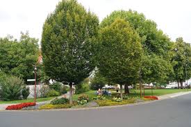 Öffnungszeiten von degussa bank in rheingaustr. Erlenbach Am Main Wikiwand