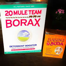 borax and baking soda alkalizing remedy