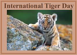 Jul 28, 2020 · international tiger day 2020: International Tiger Day Educational News