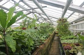 Entdeckt im botanischen garten in outdoor: Jubilaum 125 Jahre Gruson Gewachshauser Magdeburg